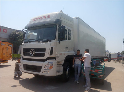 東風(fēng)天龍9米6后八輪冷藏車 國五標(biāo)準(zhǔn)、性能參數(shù)與市場價(jià)值解析